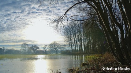 Daguitstap Vaartocht van Antwerpen naar De Biesbosch, Nederland