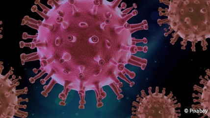 Virussen en vaccinatie