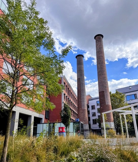 De oude fabrieksschouwen, stille getuigen van het industrieel verleden.